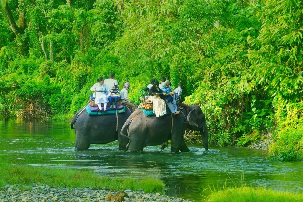 Gorumara National Park