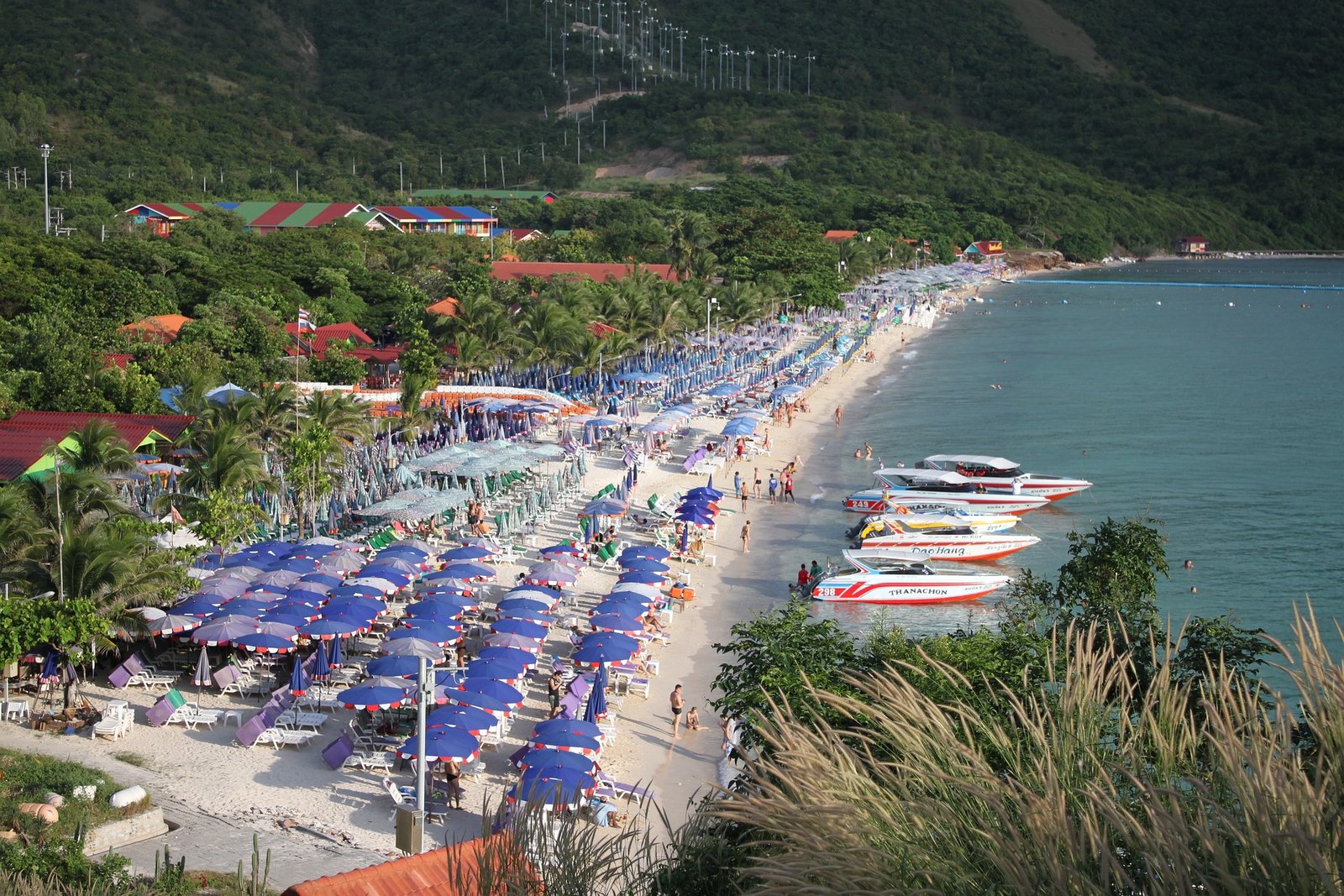 beach