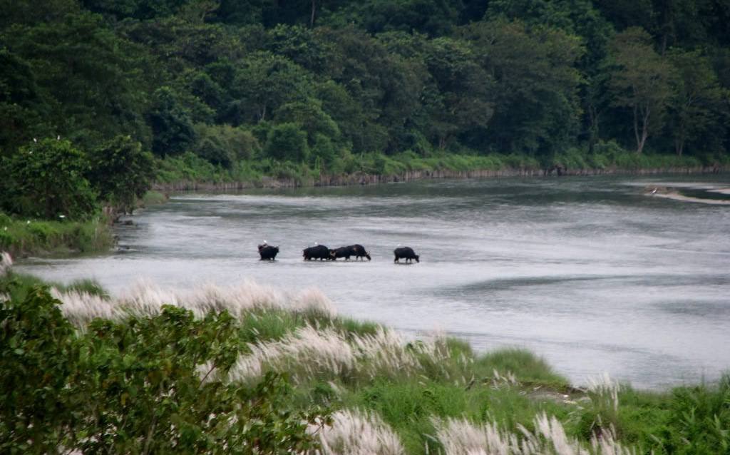 murti river